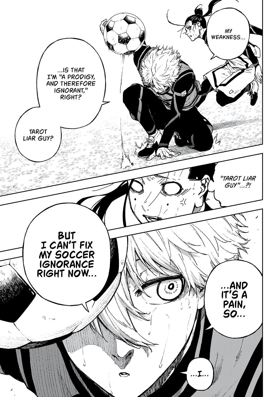 70863228 960 1378 265509